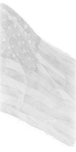 lg_rhots_p_flag1.JPG (25915 bytes)