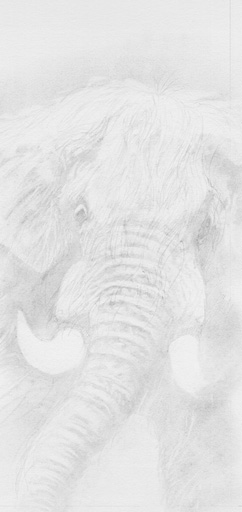 lg_rhots_p_mastadon.JPG (28528 bytes)