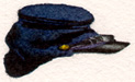 rhots_civil_war_cap.JPG (8595 bytes)